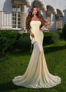 Raziela Strapless Mermaid Mesh Maxi Dress In Yellow