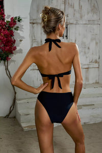 Aruba Halter Mesh One Piece Swimwear In Black