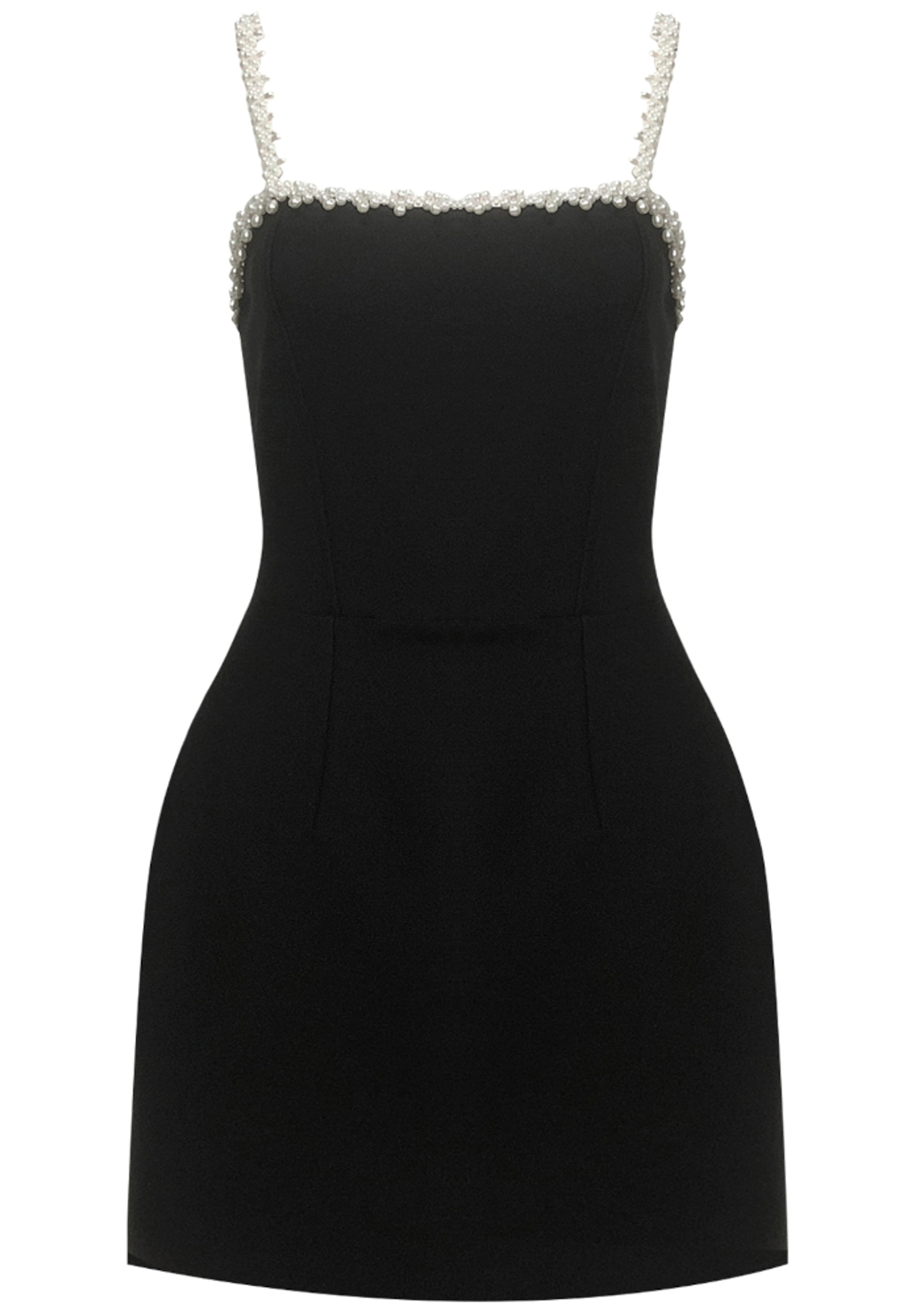 Brynara Pearl Detail A Line Dress In Black