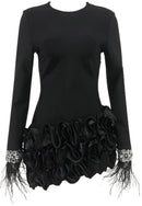 Ainara Crystal Feather Long Sleeve Ruffle Detail Mini Dress In Black