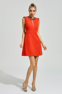 Gaby Red Sleeveless Mini Dress