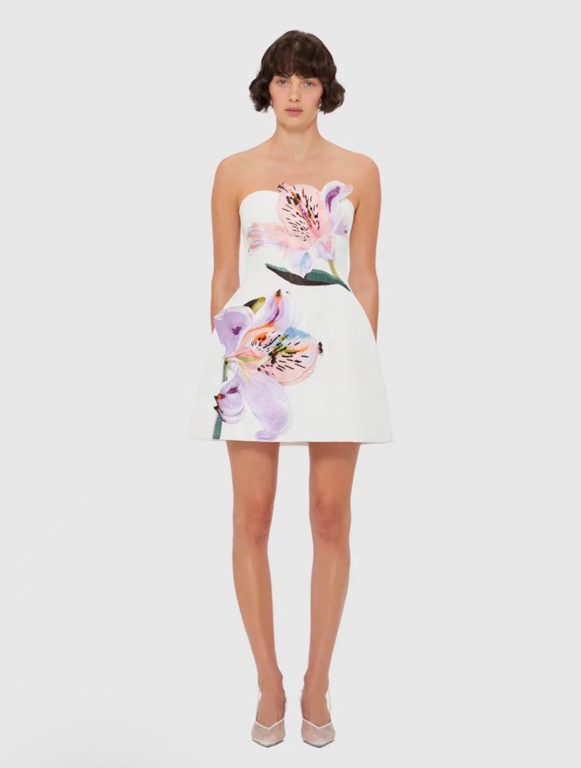 Eliezra White Floral Embroidered Mini Dress