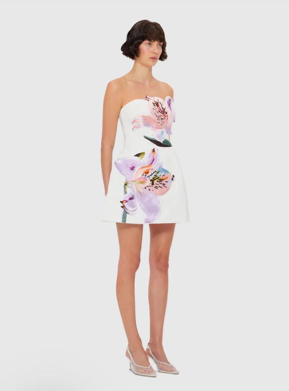 Eliezra White Floral Embroidered Mini Dress
