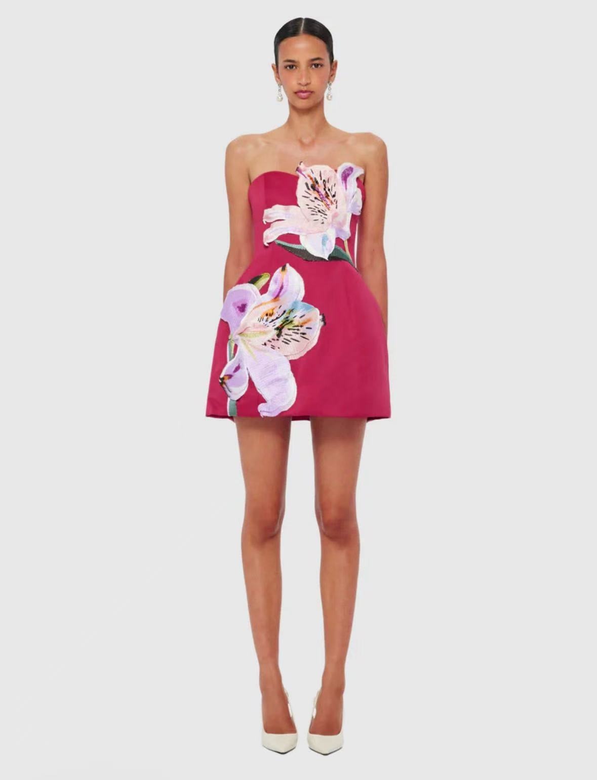 Eliezra Pink Floral Embroidered Mini Dress