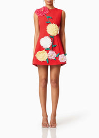 Cesca Floral Applique Sleeveless Mini Dress