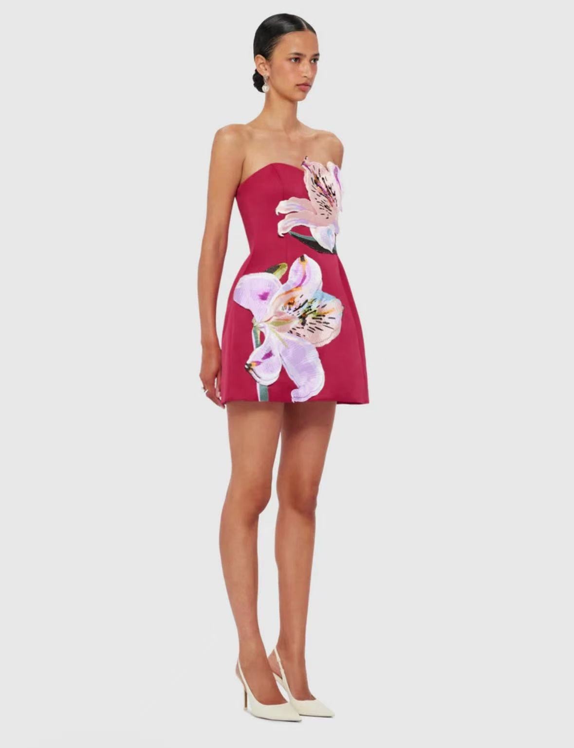 Eliezra Pink Floral Embroidered Mini Dress