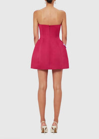 Eliezra Pink Floral Embroidered Mini Dress