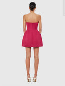 Eliezra Pink Floral Embroidered Mini Dress