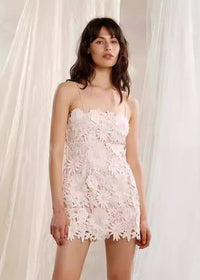 Cordis Floral Lace Mini Dress In Pink