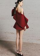 Brione One Shoulder Mini Dress