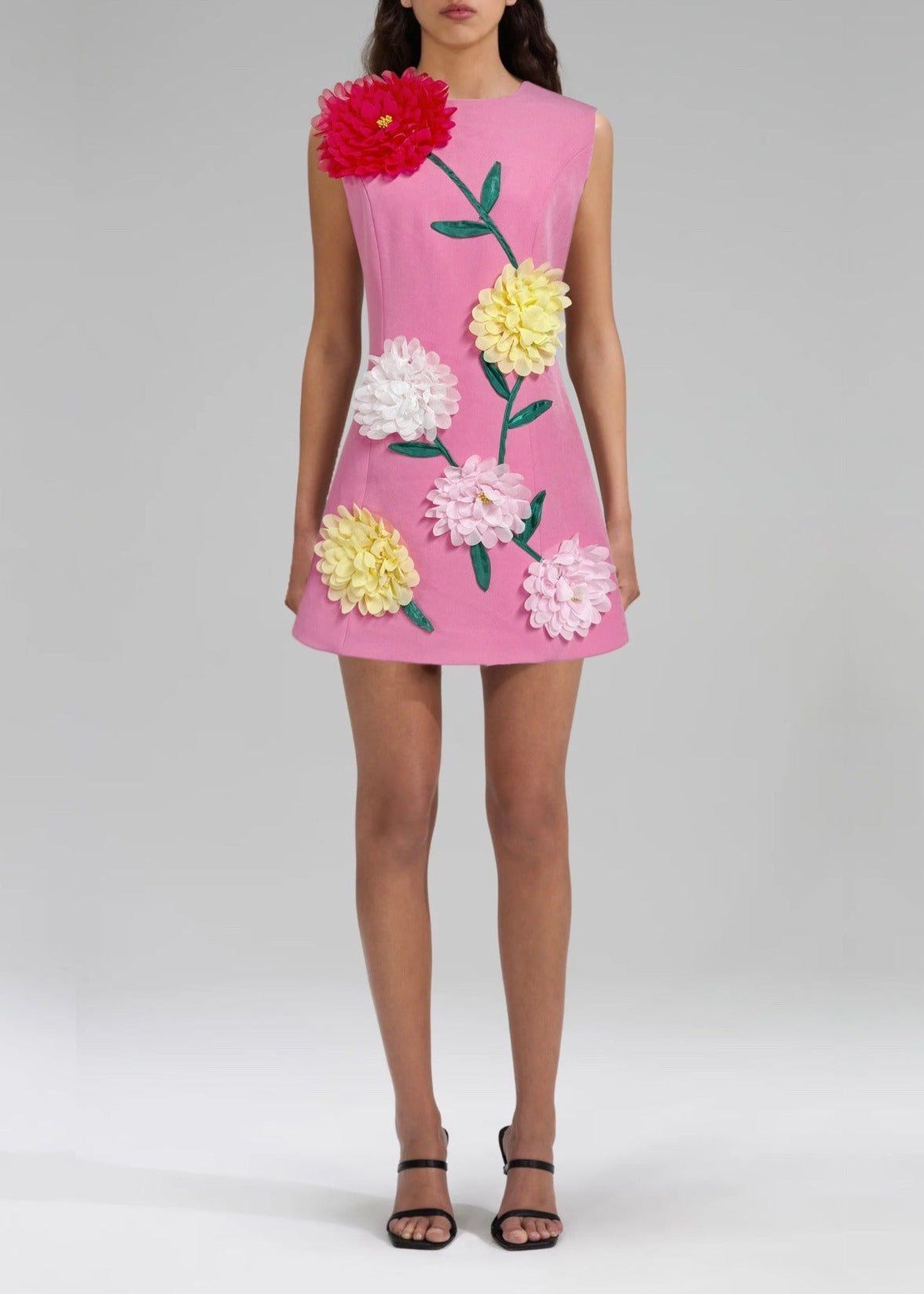 Cesca Floral Applique Sleeveless Mini Dress