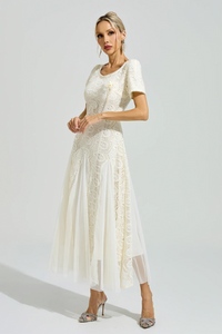 Pramix Apricot French Lace Mesh Maxi Dress