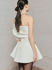 Vallissa Asymmetric Ruch Mini Dress