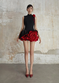 Alyvia Flower Appliqué Mini Dress