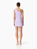 Destaing Floral Appliqué One Shoulder Mini Dress In Purple