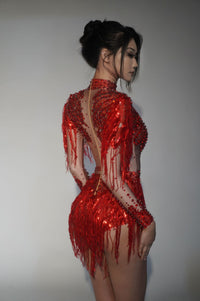 Paniz Rhinestone Fringe Bodysuit In Silver