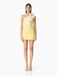 Destaing Floral Appliqué One Shoulder Mini Dress In Yellow