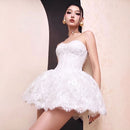 Lyubov Strapless Lace A Line Mini Dress