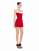 Galian Red Color Block Mini Dress