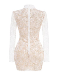 Yxalira Lace Jacquard Fishbone Bodycon Mini Dress In White