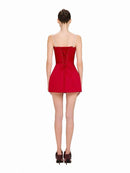 Galian Red Color Block Mini Dress