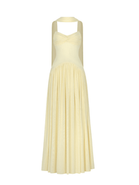 Aumira Mesh Halter Maxi Dress