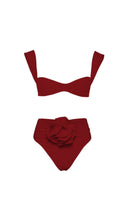 Bryony Rose Embellished Bikini Suit In Burgundy