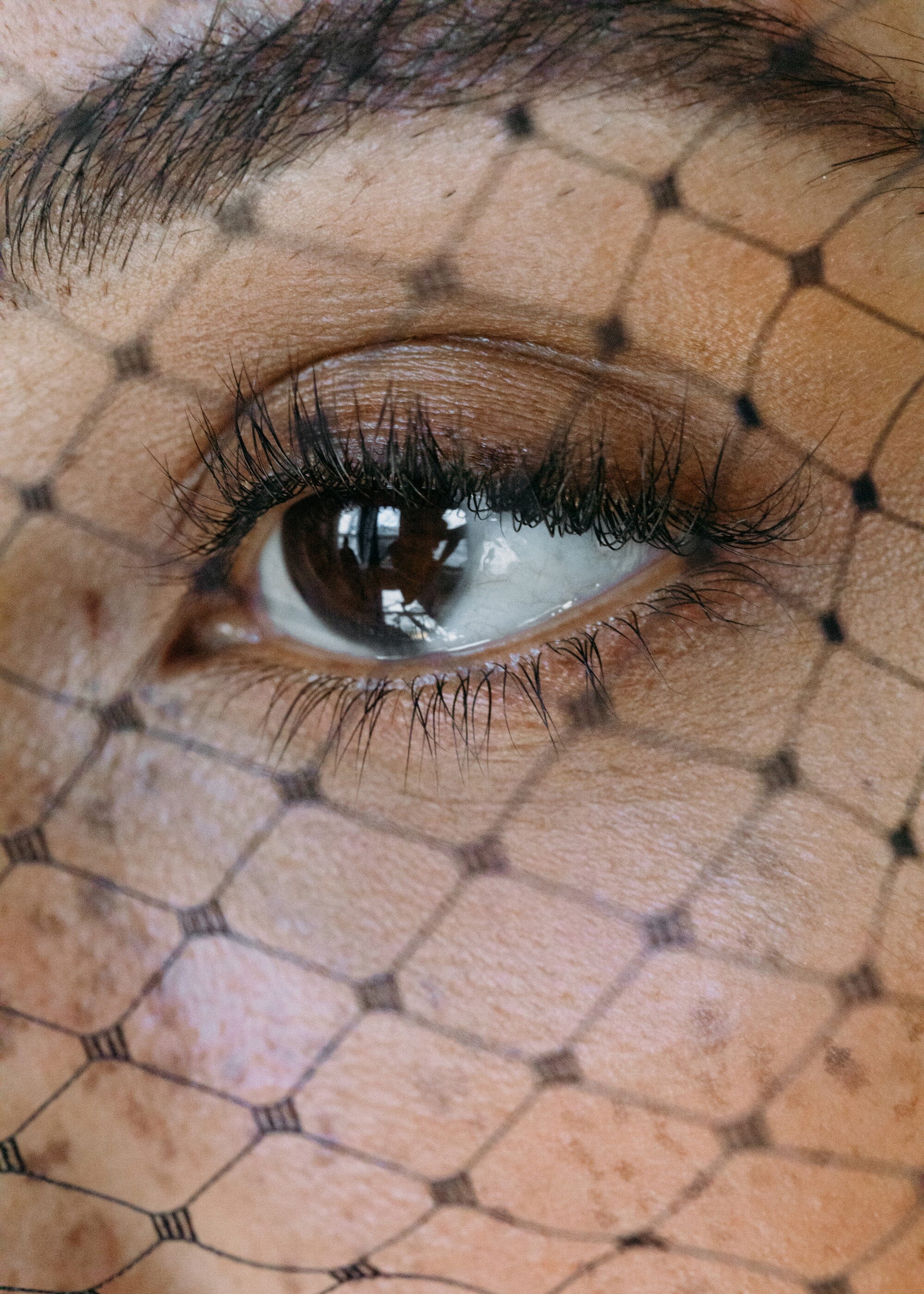 Annisa Triple Rosette With Veil In Black