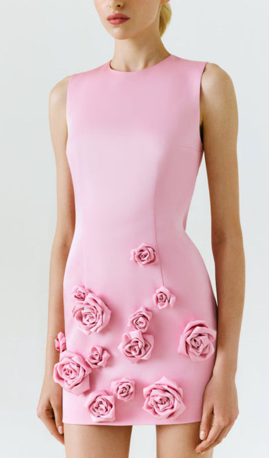 Mona Rose-Appliqué Round Neck Cady Mini Dress