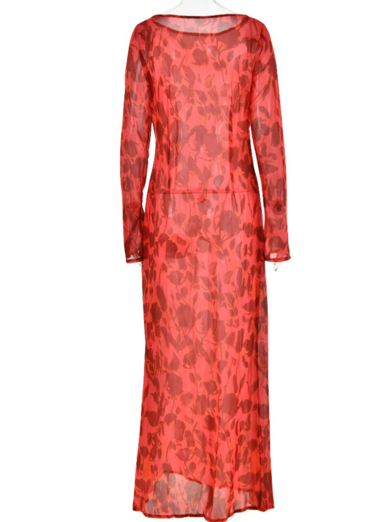 Sofia Long Sleeve Rose Printed Maxi Dress