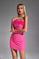 Narnia Pink Feather Mini Dress