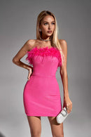 Narnia Pink Feather Mini Dress