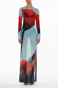 Qirat Printed Mesh Maxi Dress