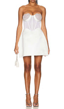 Lavaya Strapless Heart Bustier Mini Dress In White