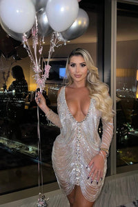 Insley Plunge Mesh Tassel Mini Dress