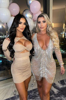 Insley Plunge Mesh Tassel Mini Dress